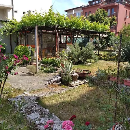 Maison d'hôtes Kolevi