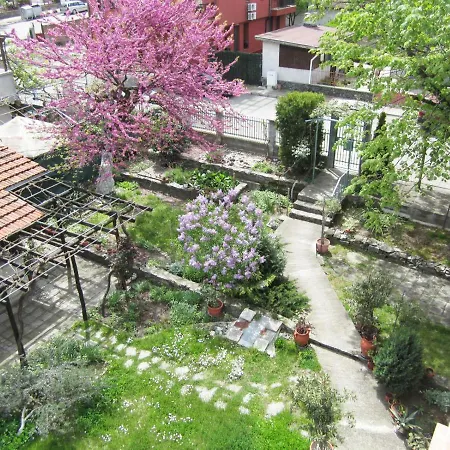 Kolevi Lozenets