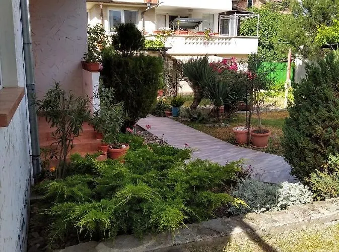 Kolevi 3* لوزينيتس