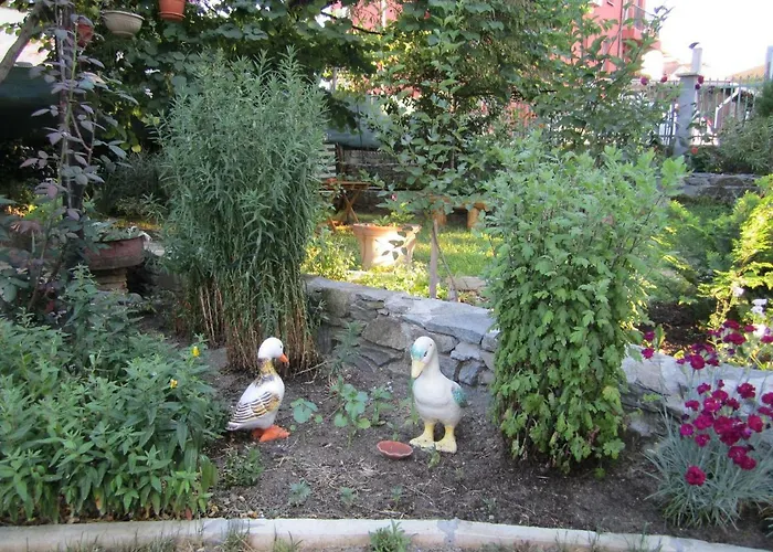 بيت ضيافة Kolevi 3*